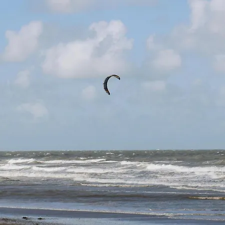 Angeles Ref, 130 * Ostend