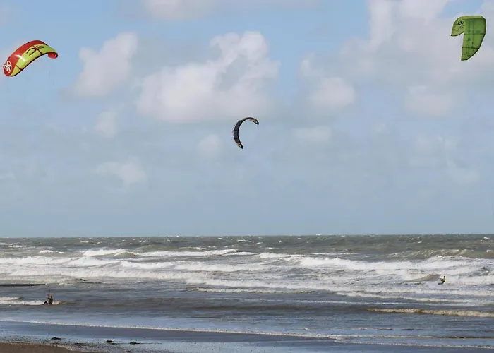 Angeles Ref 130 * Ostend